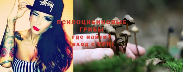 не бодяженный Медногорск