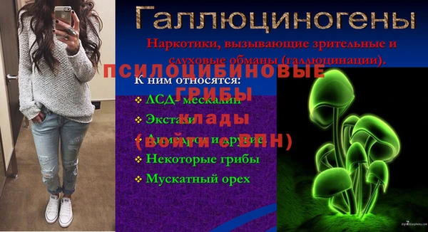 Альфа ПВП Медвежьегорск