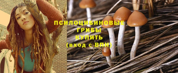 Альфа ПВП Медвежьегорск