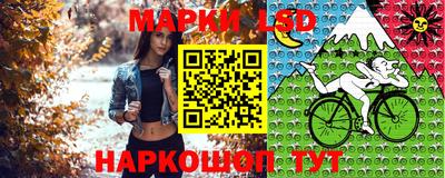 прущие грибы Будённовск