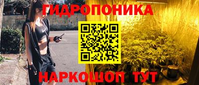 прущие грибы Будённовск