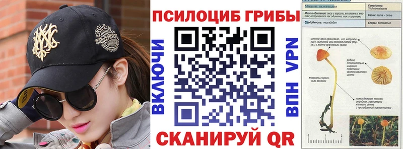 где можно купить наркотик  Балашов  Галлюциногенные грибы MAGIC MUSHROOMS 