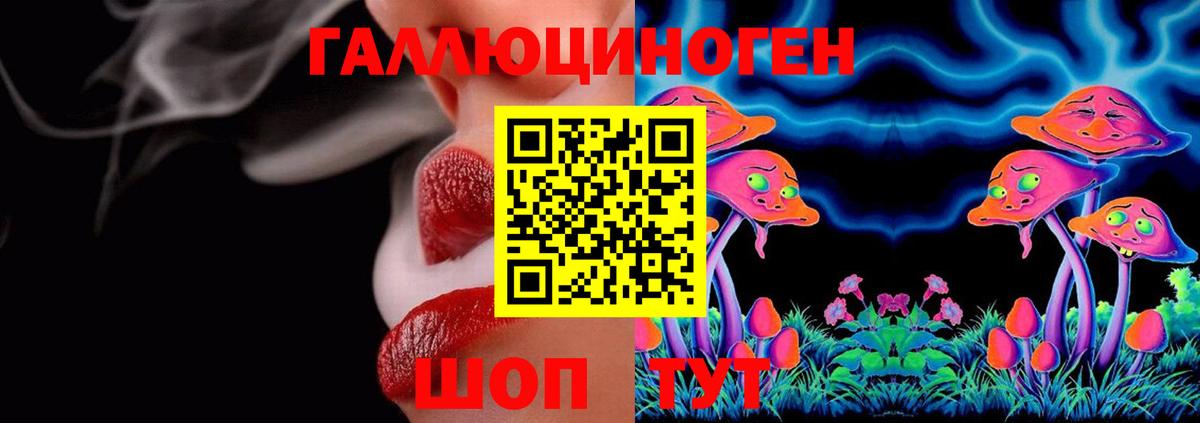 Псилоцибиновые грибы GOLDEN TEACHER  Вход с VPN  Балашов 