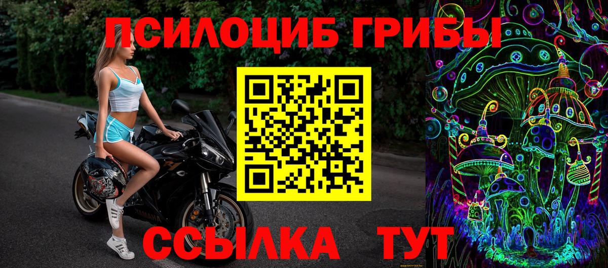 Псилоцибиновые грибы прущие грибы  Балашов 